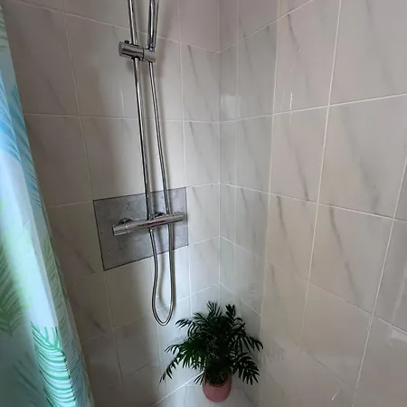 Casa Zapato * ラ・パレッド